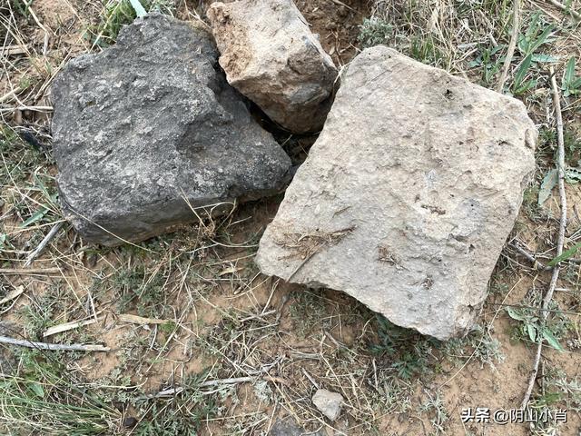 鄂尔多斯市达拉特旗田野考察笔记