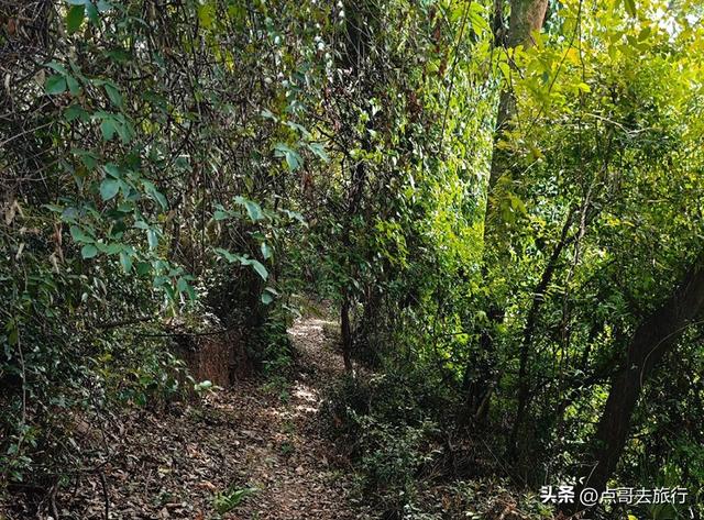 成都蒲江爆红徒步路线，观景台可观四姑娘山和贡嘎雪山，全部免费