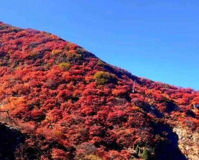 中国旅游百强县&抖音推荐！潍坊“超出彩”的宝藏小城→青州！