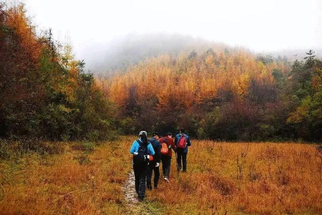 初冬赴高桥：山水藏诗 古迹含情