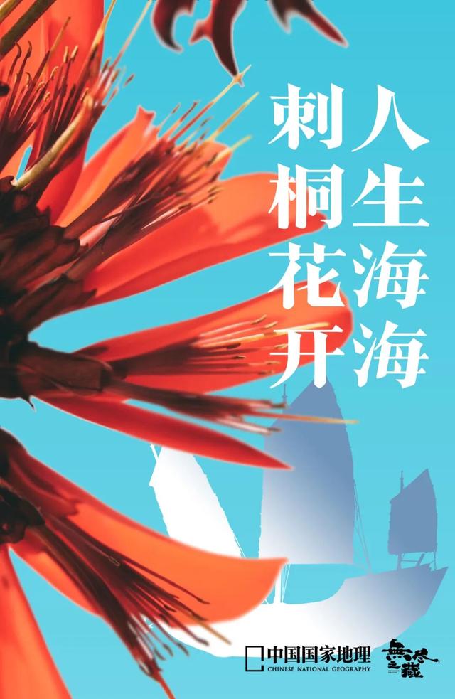 刺桐酝酿着「花事」，这场「盛事」也即将在泉州开启！