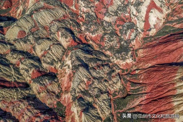 讲好金城故事，绽放讲解华彩~首届 “兰州水墨丹霞杯” 讲解员服务技能竞赛报名启动！