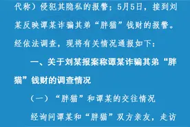 重庆警方通报“胖猫”事件调查情况图片