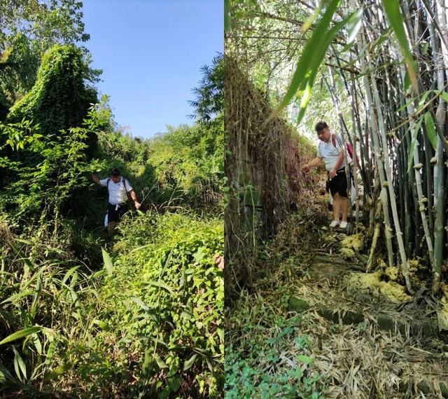 重庆北碚有座龙头山，山上有座400多年的明代老庙，叫“观音堂”