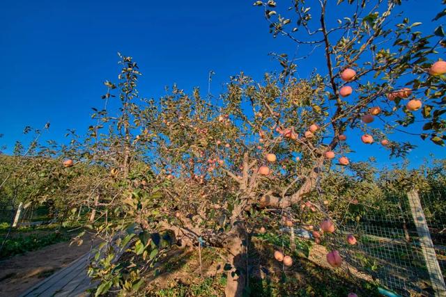 太全面了！8条游玩线路+京郊汤泉！带您玩转北京这里！（2）