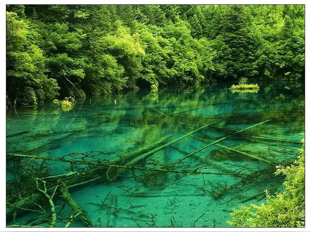 45张九寨沟最美风景手机壁纸