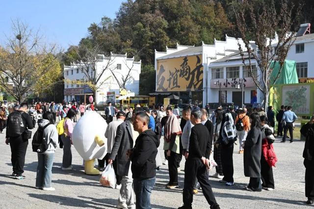 银杏谷旅游度假区缘何火爆出圈？