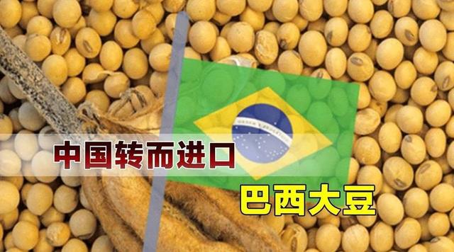 第二个立陶宛出现了，主动邀请赖清德来访，中国68年的友谊喂了狗