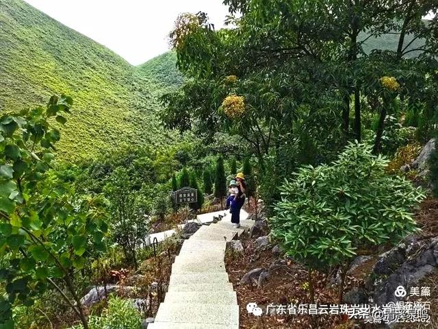 云岩青莲记