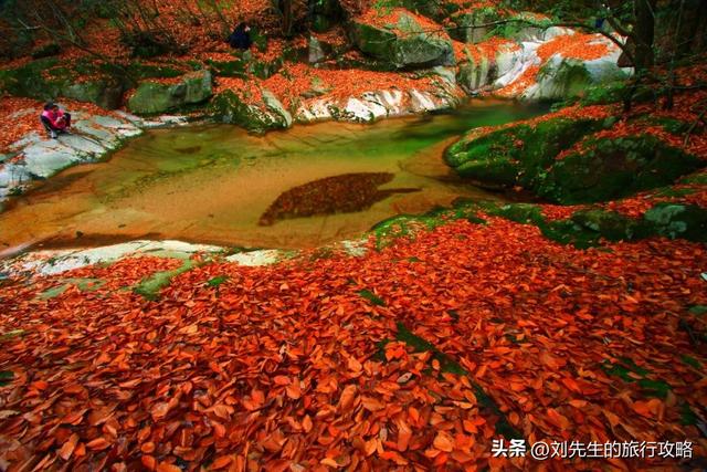把秋天装进相册！这8个神仙目的地，让你拍出封神大片！