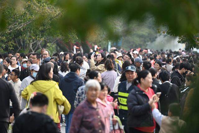 仪式感拉满 中山公园第41届菊展邀你共赴秋日之约