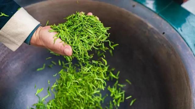 收藏！峨眉山「春日玩耍秘籍」，明天就出发