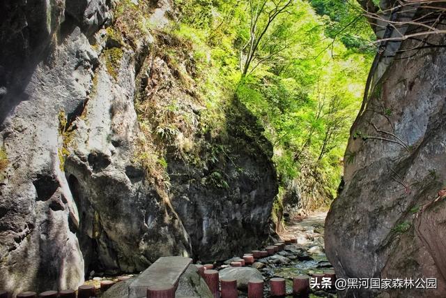 夏季避暑有“凉”方,黑河山水邀你共赴清凉盛宴!