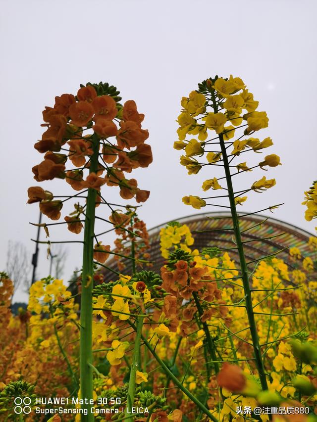 据我实际体验，冬天不宜自驾游