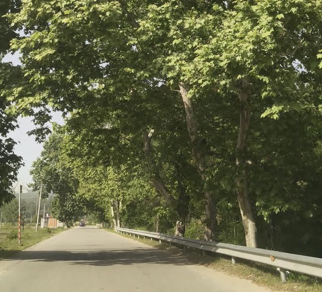 大别山老318国道,没落中的昔日辉煌与无尽回忆