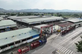 咩咩咩~咕咕咕~嘎嘎嘎~图片