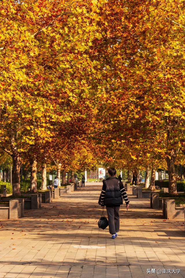 重大限定皮肤上新,超出片!🤳