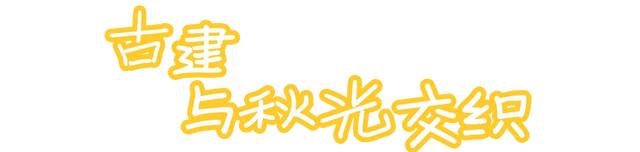 秋深景更美!运城最绚烂时刻到了!