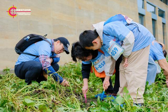 2025成都城市定向赛走进宝墩遗址 开启跨越四千年的“穿越”之旅