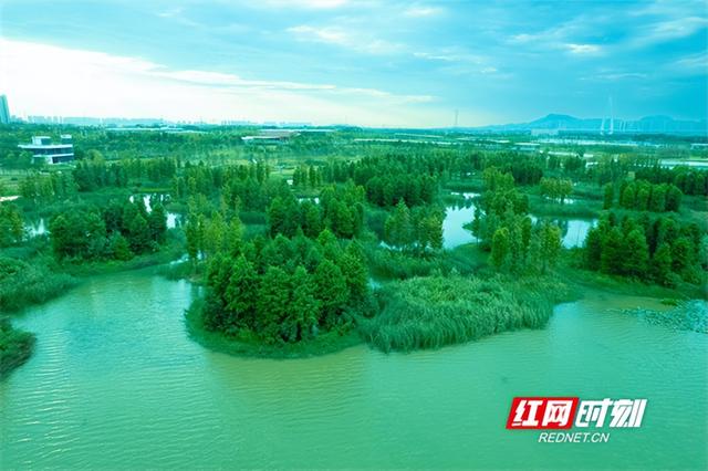湖库觉醒⑥丨望城四湖：一汪碧水唤醒千年诗意与新生