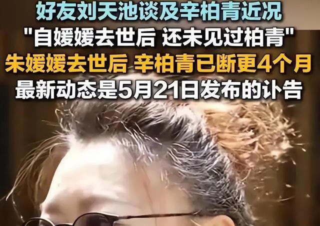 爱妻朱媛媛离世五月后，辛柏青再传来噩讯，原来他仍未走出悲伤