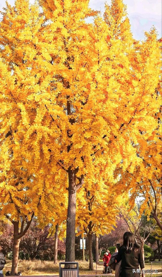 郑州遛娃新去处：满足全年龄段孩子需求，关键还免费