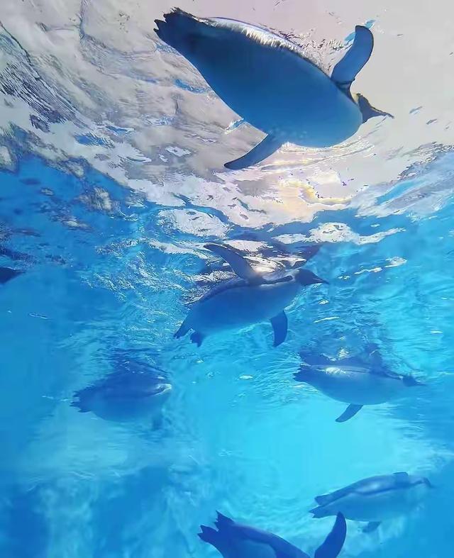 世界只有中国河南省洛阳市才有的全球“独一无二的10大奇景”