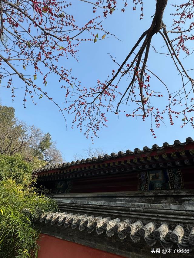 【京城寺记】香山卧佛寺
