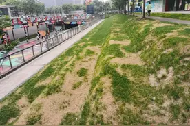 在上海的草坪上，如何正确地玩一天图片
