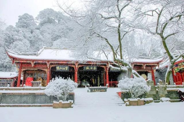 回答我，蒙顶山的雪景美不美？？