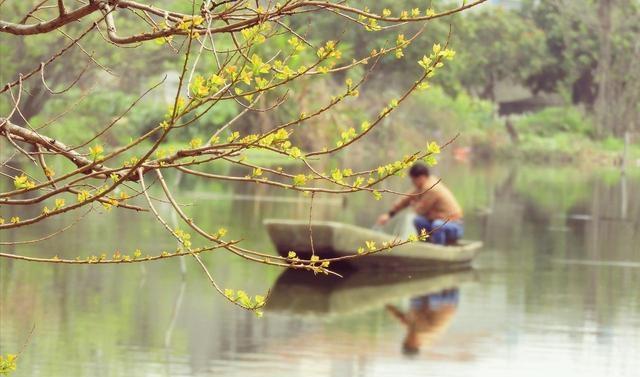 福建大反转！莆田杀出重围，福州泉州都没预判，凭什么火遍全国？