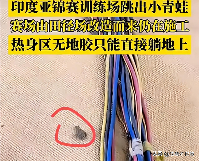 零容忍，国乒或退出亚锦赛？印度主办方公然挑衅，王励勤果断出手