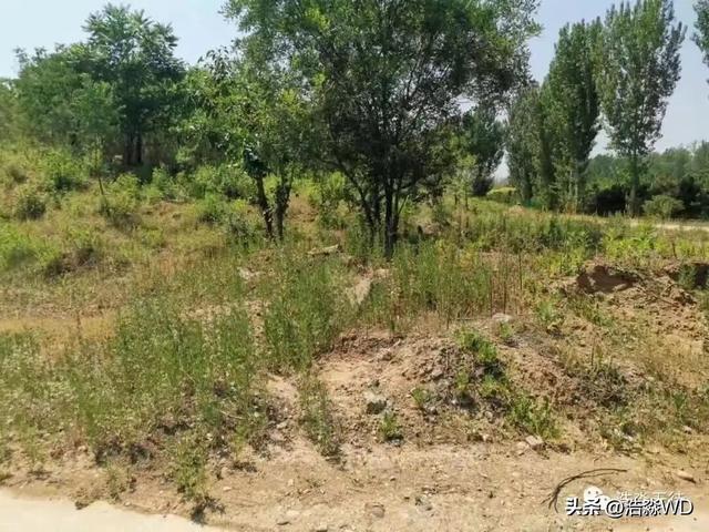 怀柔北房镇大罗山：历史与现实同辉的村庄