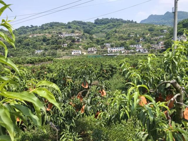 「宜宾必去的100个地方」新榜单出炉！火热报名中！