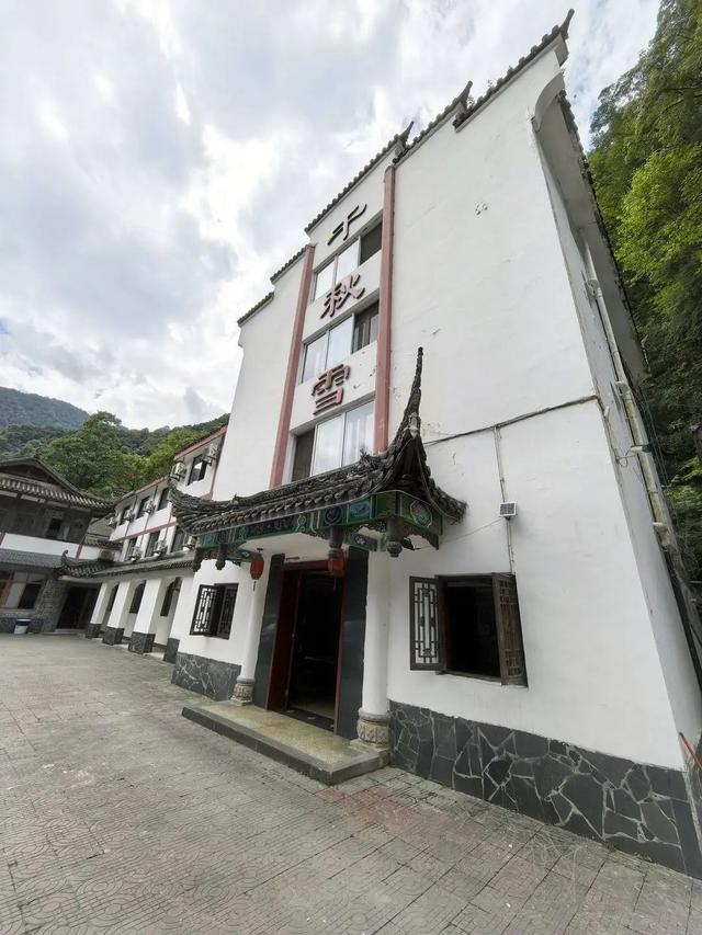 西岭雪山发生多起猴伤人事件，当地村民也饱受猴群困扰，景区回应：游客投喂是令我们头痛的一件事