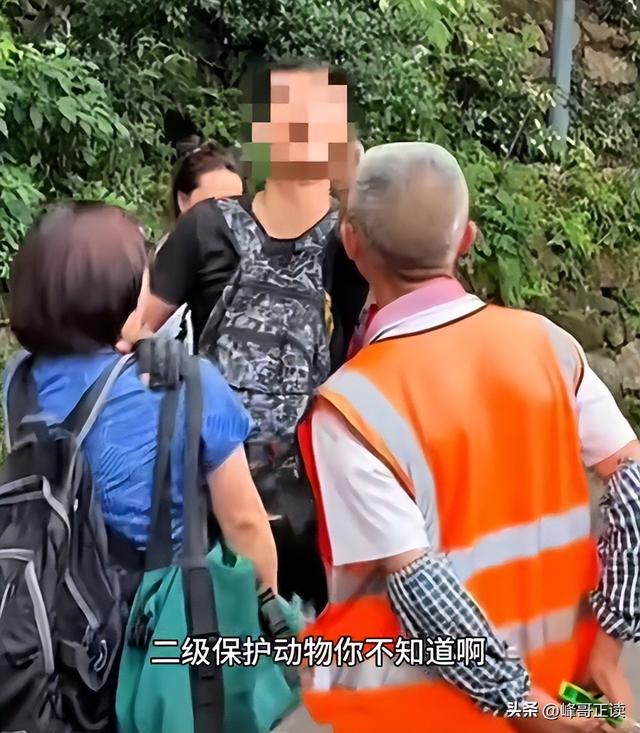 后续！男子大骂景区大爷，身份被扒评论区沦陷，南京文旅意外躺枪