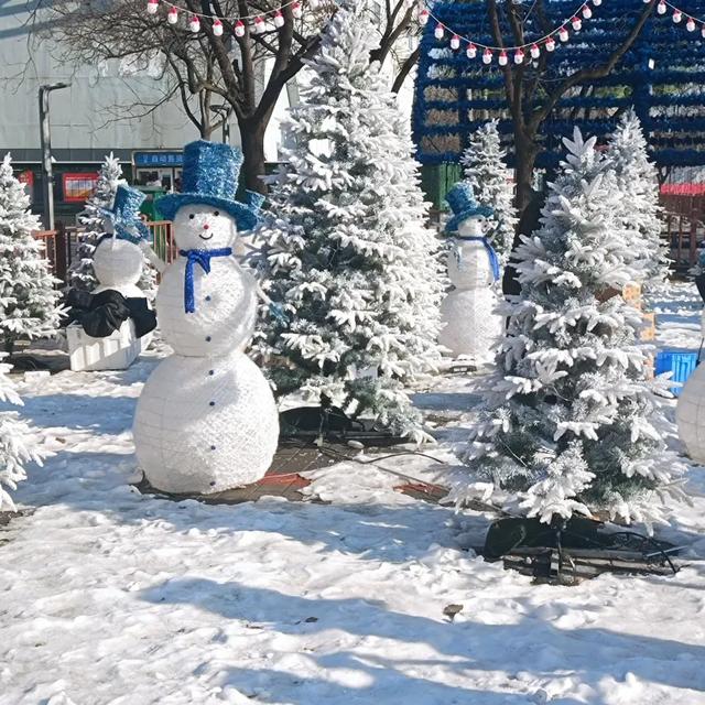 石景山游乐园冰雪音乐狂欢！零点陪你同迎2026