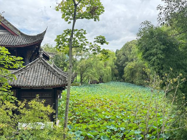 桂湖公园