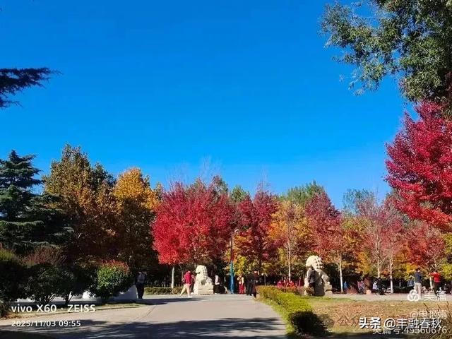 青岛即墨马山寻趣：一座地质公园的秋日私语｜申艳娟