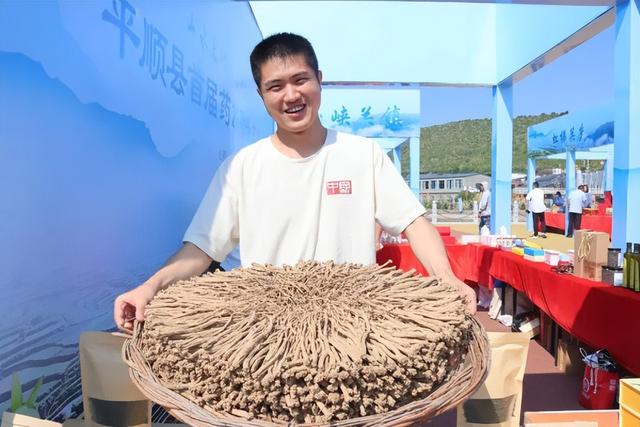 太行一号旅游公路带火平顺“草药经济”