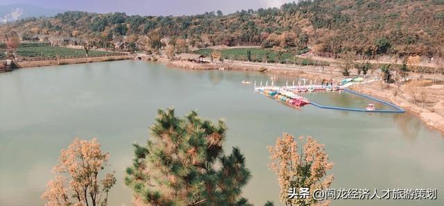 湖州长兴煤山镇出个呆呆怎么办？