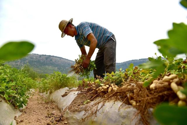 11月7日立冬，"上午立冬柴米空 下午立冬单衣冬"，今年立冬在哪？