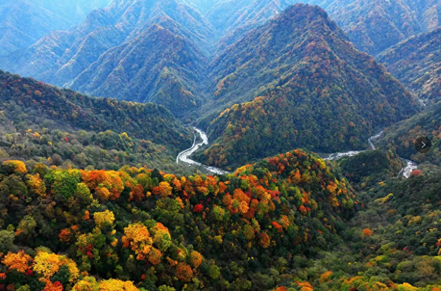 国庆中秋玩转广元 | 山水奇绝，风味独特！一键开启青川度假时光！