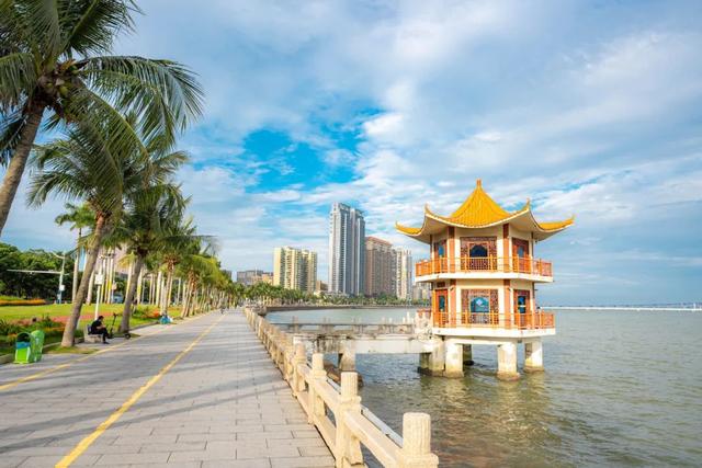 情侣路，凭什么成为大湾区顶流？