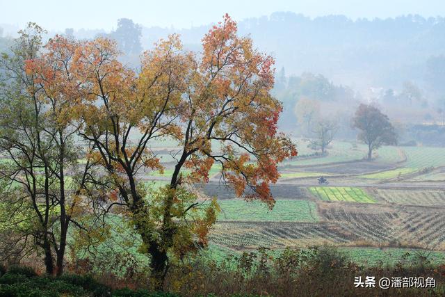秋色塔川，无梦到徽州
