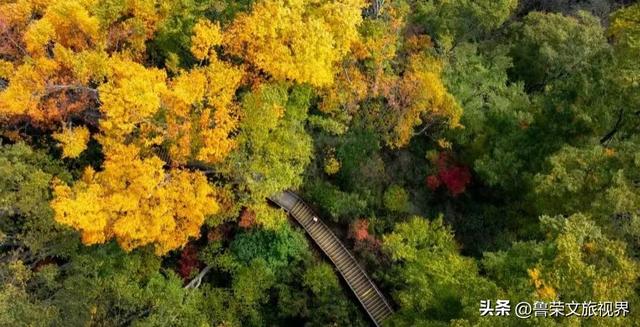 穿越米仓红枫，探秘巴山大峡谷：秦巴山脉里的秋日秘境与千年巴韵