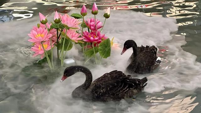 美翻 | 京津冀首个！就在武清！