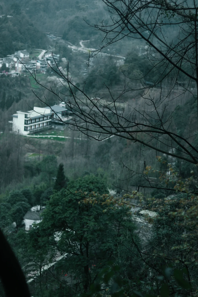 成都1.5小时可达的野山，斗底山徒步真的很酸爽！