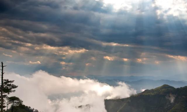 40条！浙江省名山公园精品线路发布