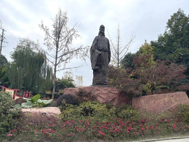 【美丽四川】寒冬将至 银杏初黄